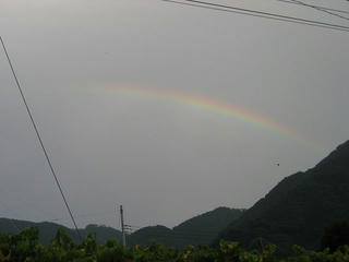 s-IMG_0222.jpg
