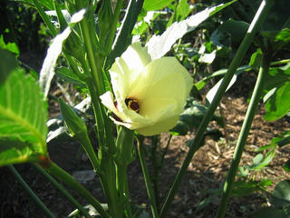 s-IMG_0023.jpg