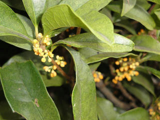 s-DSC00001.jpg