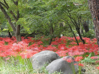 s-DSC00035.jpg