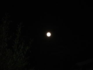 s-DSC00137.jpg