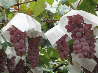 s-DSC00148.jpg