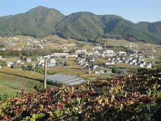 s-DSC00192.jpg