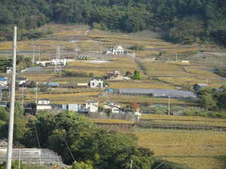 s-DSC00222.jpg