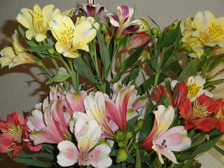 s-DSC00237.jpg