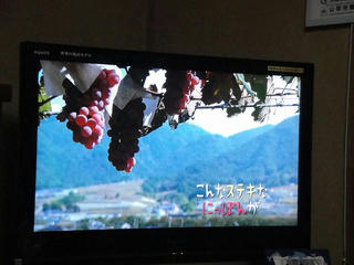 s-DSC00341.jpg