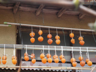s-DSC00321.jpg