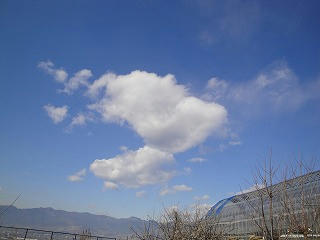 s-DSC00577.jpg