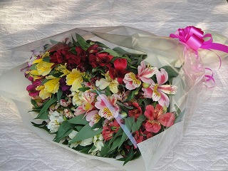 s-DSC00604.jpg