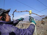 s-DSC00630.jpg