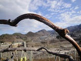 s-DSC00625.jpg