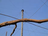 s-DSC00712.jpg
