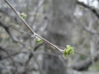 s-DSC00767.jpg