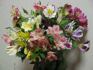 s-DSC00786.jpg