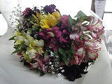 s-DSC00827.jpg