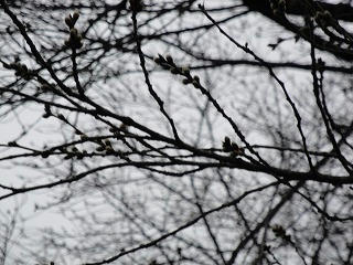 s-DSC00843.jpg