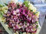 s-DSC00855.jpg