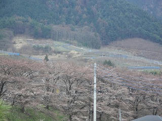 s-DSC00913.jpg