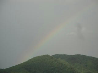 DSC01521.jpg