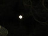 DSC01777.jpg