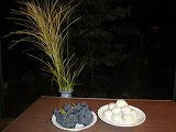 DSC01784.jpg