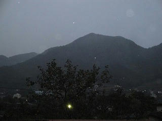 DSC01923.jpg
