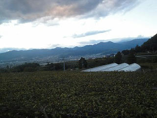 DSC01936.jpg