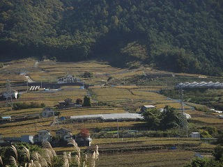 DSC01952.jpg