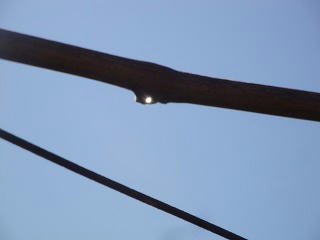 DSC02550.jpg
