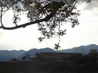 DSC02670.jpg