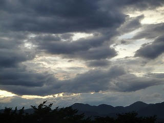 DSC03259.jpg