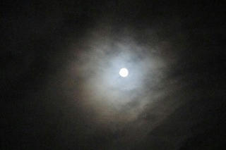 DSC03434.jpg