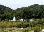 081012ikasu10.jpg