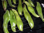 100601soramame2.jpg