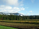 101103fpdm01.jpg