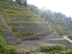 101103fpdm02.jpg
