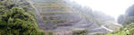 101103fpdm03.jpg