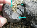 101103fpdm07.jpg
