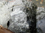 101103fpdm11.jpg