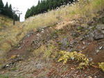 101103fpdm14.jpg