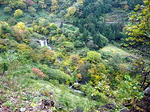 101103fpdm16.jpg