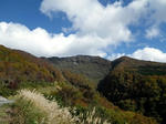 101103fpdm21.jpg