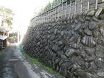 101103fpdm25.jpg