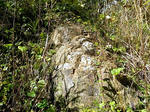 101103fpdm16-2.jpg