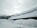 110201snow1.jpg