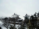 110201snow3.jpg