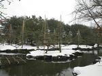 110205snow1.jpg