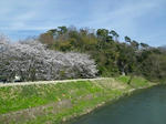 110417yamanaka4.jpg