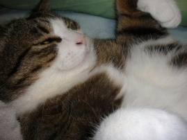 DSC00005.JPG