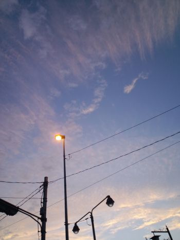 207.JPG